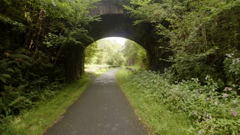 Weitwinkelaufnahme-Mit-Blick-Auf-Den-Bahnhof-Cynonville-Mit-Der-Stillgelegten-Eisenbahnbrücke