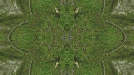 Grünes-Kaleidoskop-Mit-Waldbildern-Aus-Wissahickon-Creek,-Philadelphia,-#9