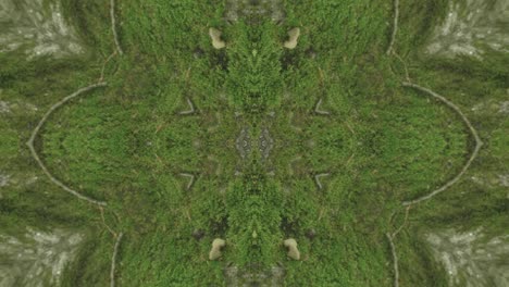 greenery kaleidoscope using forest imagery from wissahickon creek, philadelphia, #9