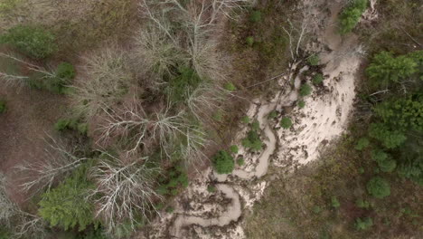 top down view of a river after a small dam failed