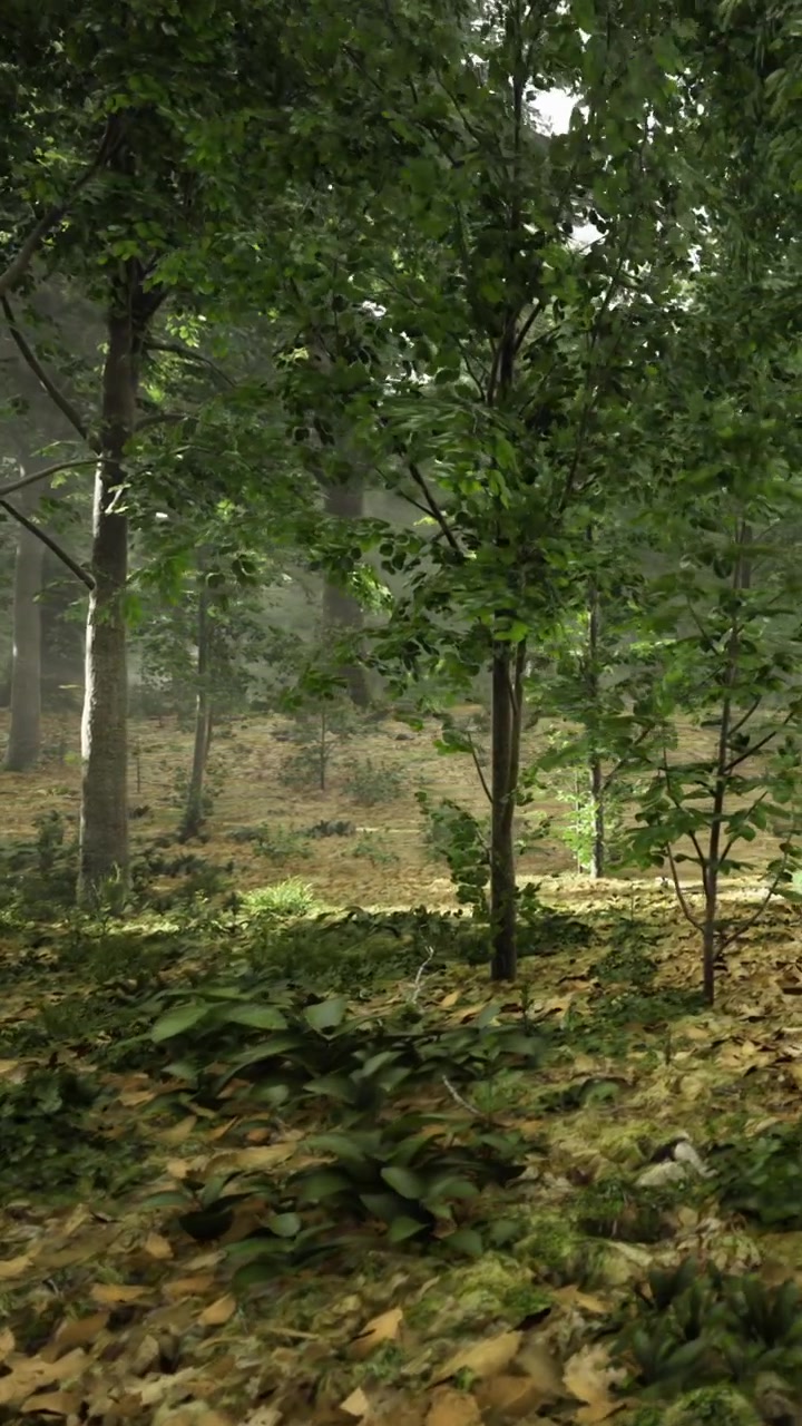 Pemandangan hutan dengan pepohonan dan tumbuhan di siang hari dalam suasana alami