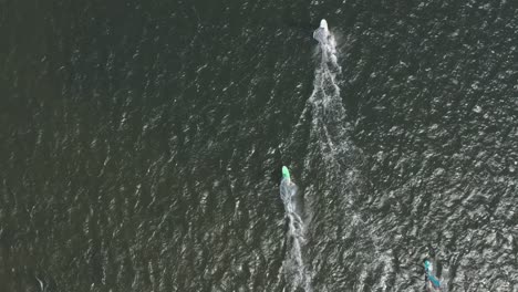drone - aerial top shot of many surfers on a blue, wavy and windy sea on a sunny day, 25p