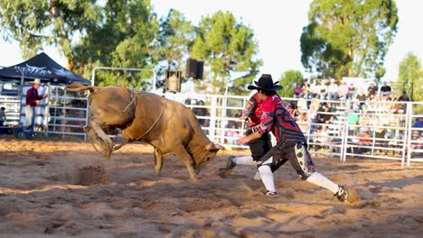 palhaço de rodeio evitando o touro na arena.