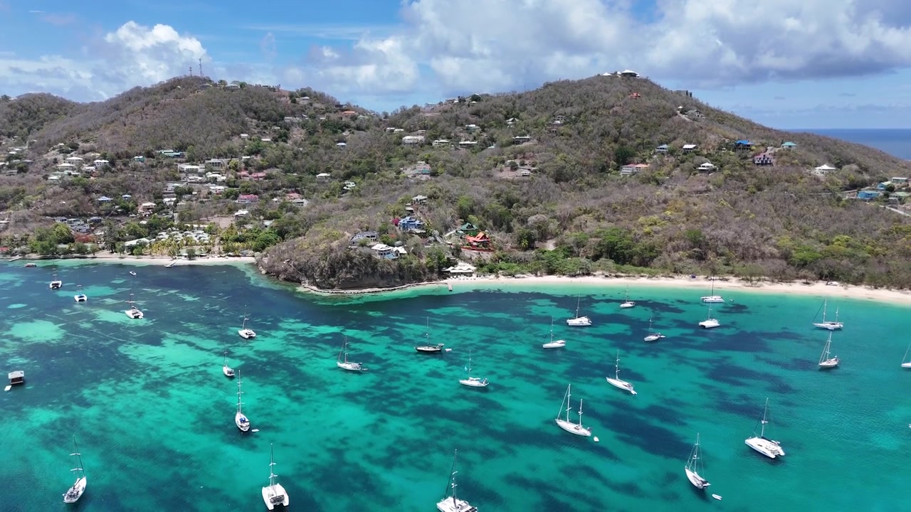 Ampia ripresa panoramica con drone di una baia tropicale riparata piena di yacht e barche a vela ancorati sull'isola di Bequia. Paesaggio costiero collinare, barriere coralline turchesi e stile di vita velistico caraibico.