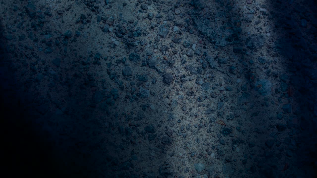 protectores de pantalla animados de fondo paredes de textura para el escritorio,