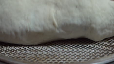 one man placed pizza dough on pizza tray