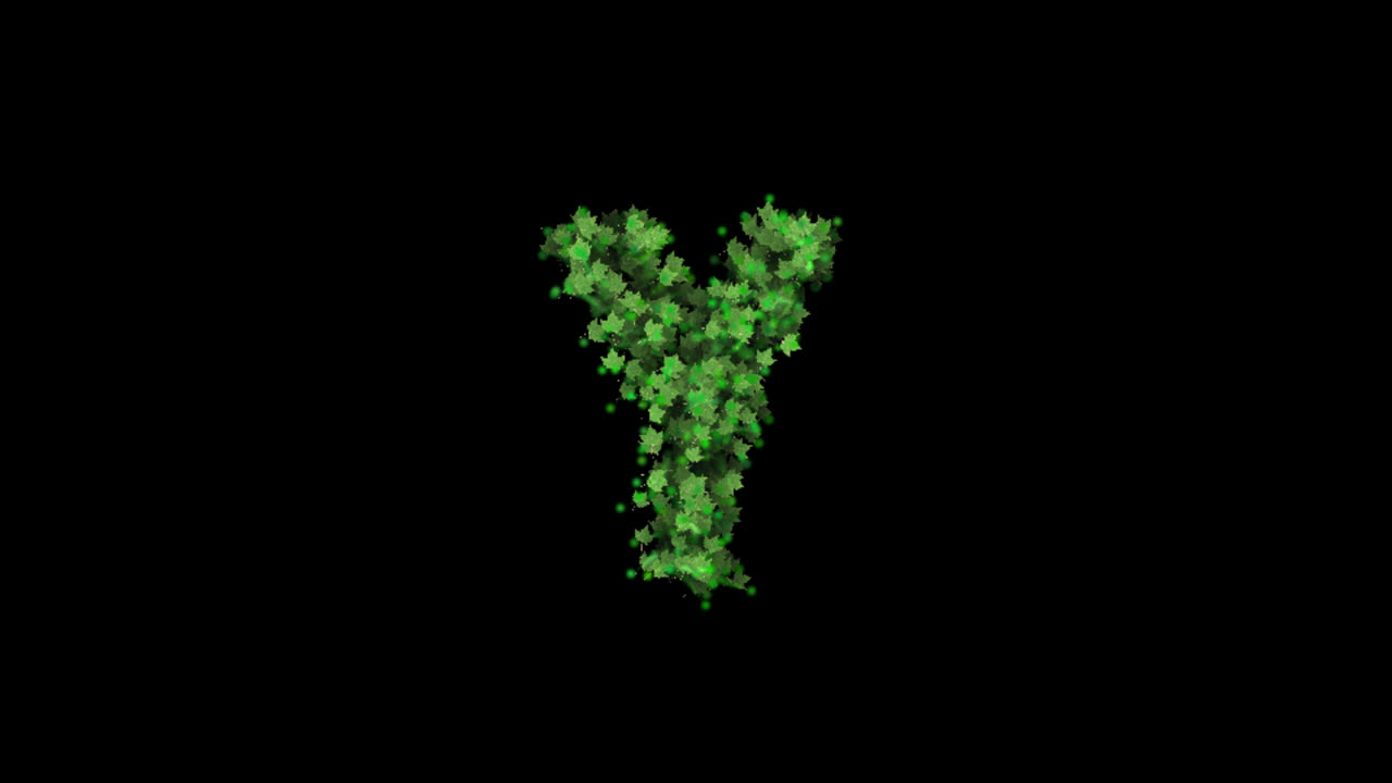 Green leaves forming letter Y on transparent background