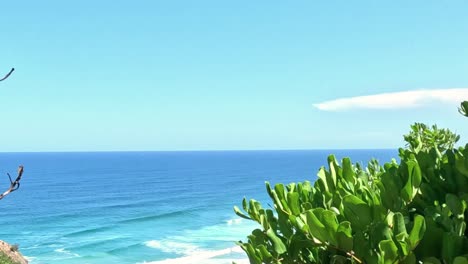 vibrant green foliage frames a view of ocean waves beneath a clear blue sky.