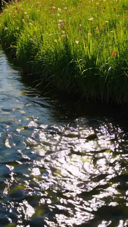 stream with grassy banks
