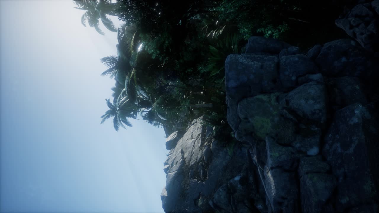 los rayos del atardecer a través de las palmeras