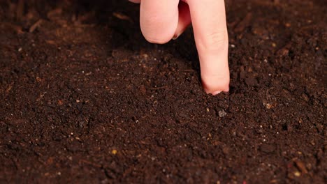 a hand gently pokes holes in rich, dark soil, preparing for seed planting. close-up, well-lit, with a focus on gardening