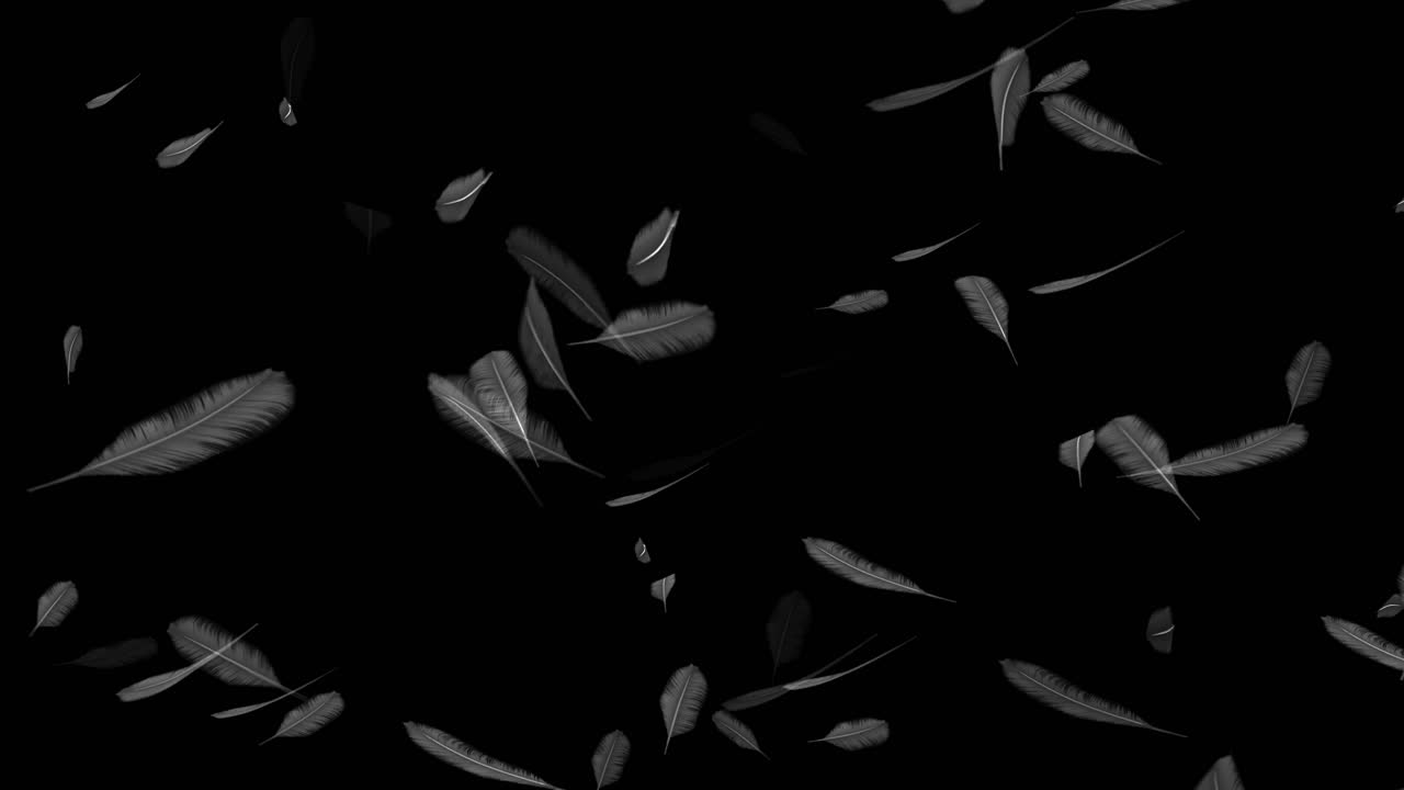 plumas que caen sobre un fondo negro