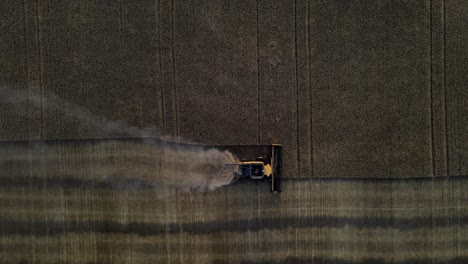 aerial drone view from above of a modern combine harvester reaping cereals at sunset in alberta, canada