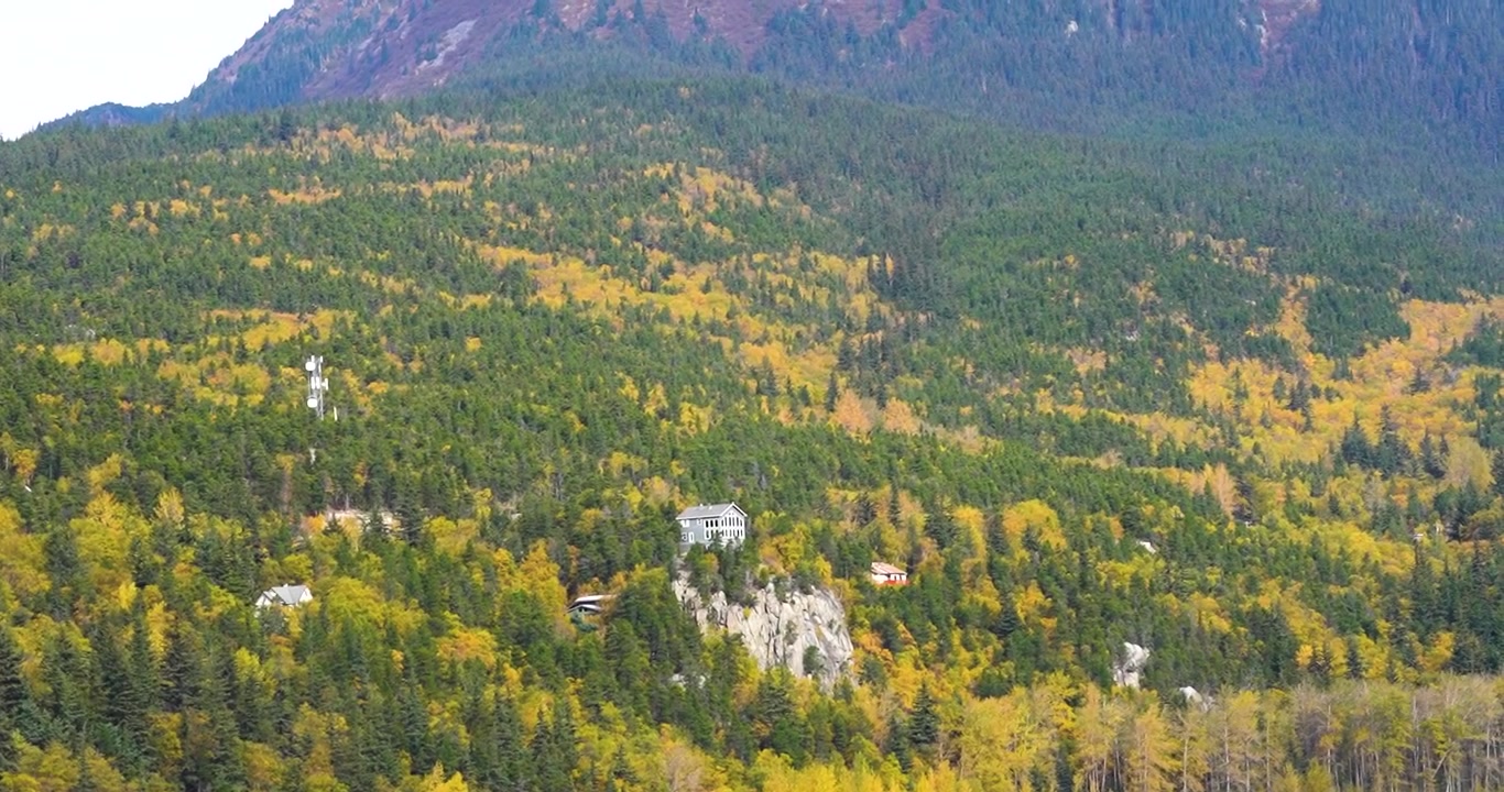 Domy na zboczu góry w Skagway na Alasce