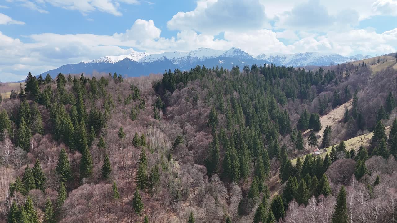 un bosque verde exuberante con montañas cubiertas de nieve bajo un cielo azul con nubes dispersas, vista aérea