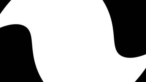 marco giratorio abstracto, animación de transición en blanco y negro