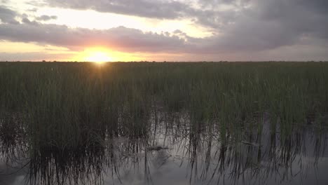 Hermosa-Puesta-De-Sol-En-Los-Everglades-Del-Sur-De-Florida-Con-Pasto-Verde-Y-Agua-Quieta