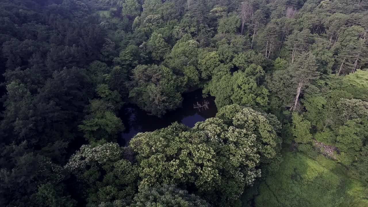 Aerial photography of a pond in the middle of the mountain