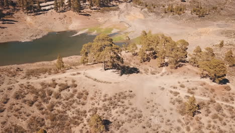 aerial shot of the cassandra tree located in the las niñas water dam in the municipality of tejeda, on the island of gran canaria