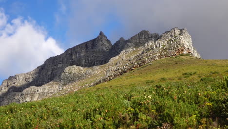 table mountain as seen from the access road to cable way