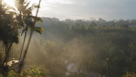 Mujer-Viajera-Balanceándose-Sobre-La-Jungla-Al-Amanecer-Disfrutando-De-Unas-Vacaciones-Exóticas-Sentada-En-Un-Columpio-Con-El-Sol-Brillando-A-Través-De-Palmeras-En-La-Selva-Tropical-Libertad-De-Estilo-De-Vida-De-Vacaciones