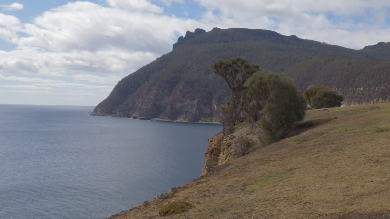 Alberi di eucalipto sullo sfondo delle Scogliere Fossili nel Parco Nazionale di Maria Island, Tasmania, Australia. Inquadratura ampia.