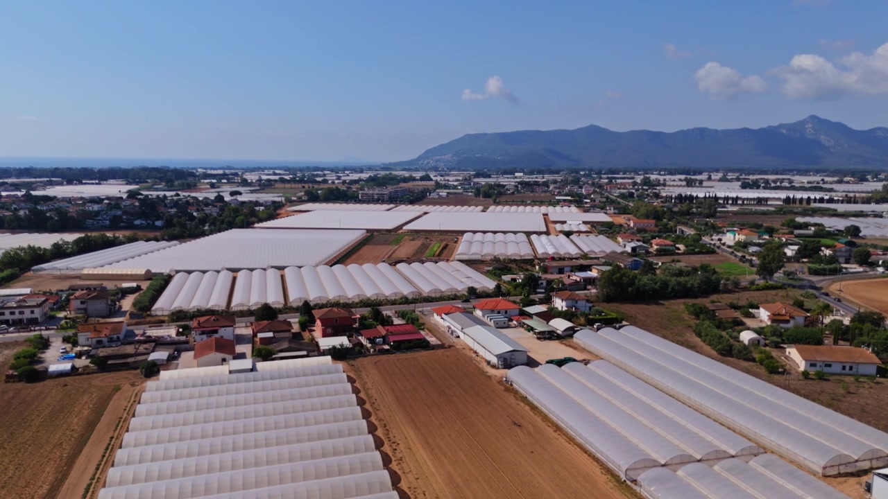 Vasta area di serre per l'agricoltura industriale moderna. Ripresa aerea che rivela tunnel agricoli in film plastico per la coltivazione tutto l'anno