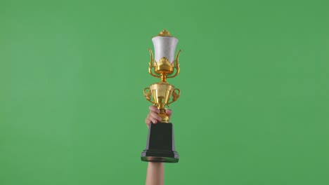 hand holding a gold trophy against a green background