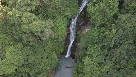 plano descendente aéreo de una hermosa cascada escondida en la selva tropical del sudeste asiático