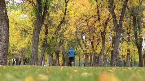 man in hoodie jacket jogging at the park with lush trees in autumn - ground-level shot