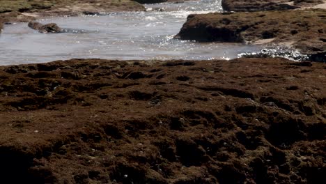 ocean water flowing through rock pools