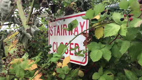 an overgrown sign saying stairway closed