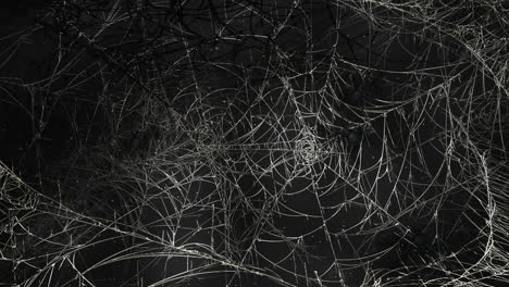 mystical horror background with dark spiderweb and motion camera