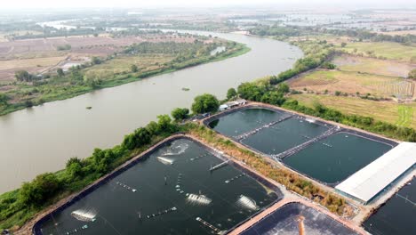 the landscape of aquaculture environmental agriculture farm