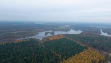 dense forest trees in autumn colors by the lakeshore