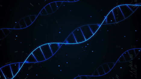 animation of dna strands and binary coding digital data processing