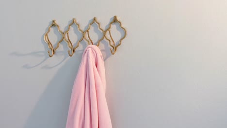 Bathrobe-hanging-on-hook-4k