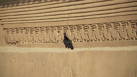 black bird next to an old building with ancient architecture