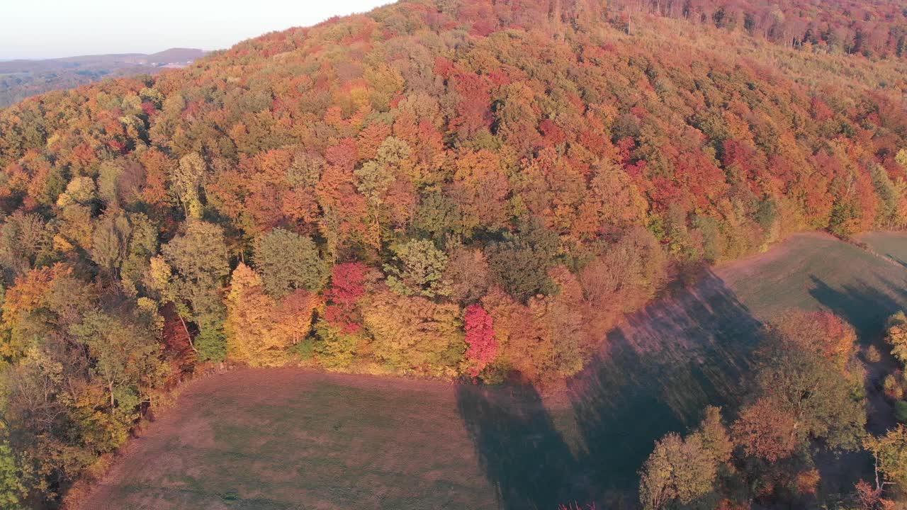 아름다운 가을 색의 숲의 조감도
