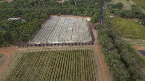 Netze-Schützen-Weinbergreihen-In-Der-Westaustralischen-Weinindustrie