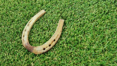 horse shoe on grass for st patricks day