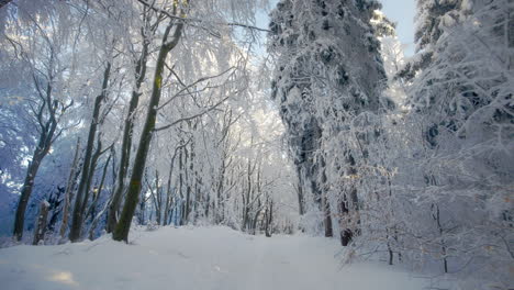 Wandern-Auf-Einem-Waldweg-Im-Eiskalten-Winter-Mit-Bäumen-Und-Ästen,-Die-Mit-Schnee-Und-Frost-Bedeckt-Sind