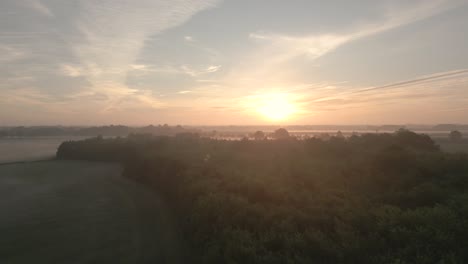sunrise over misty forest landscape