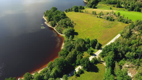 aerial view, drone fly over green meadows, trees and lake coastline in peaceful scene