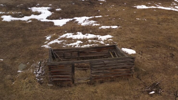 Bellezza dimenticata: una baita di tronchi abbandonata in un campo innevato nella Columbia Britannica