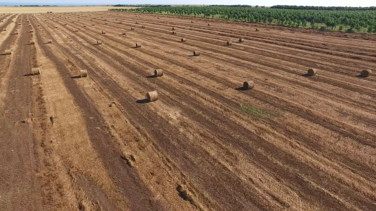 balas de paja en un campo agrícola