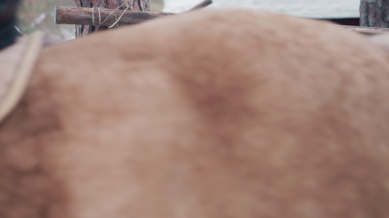 얼룩무늬 조랑말이 나무 울타리 안에서 건초를 킁킁거리고, 다른 말 한 마리가 지나가고 있어요. 투박한 울타리와 쌓인 건초 더미가 목가적인 마구간 풍경을 연출하며, 차분한 겨울 색조와 부드러운 상호 작용이 배려심을 전달합니다.