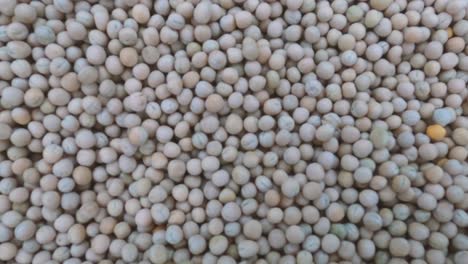 heap of peas skinned.smooth movement of a pile of peas beans, with shells.