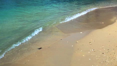 Water-lapping-the-sandy-shoreline,-of-this-peaceful-beach