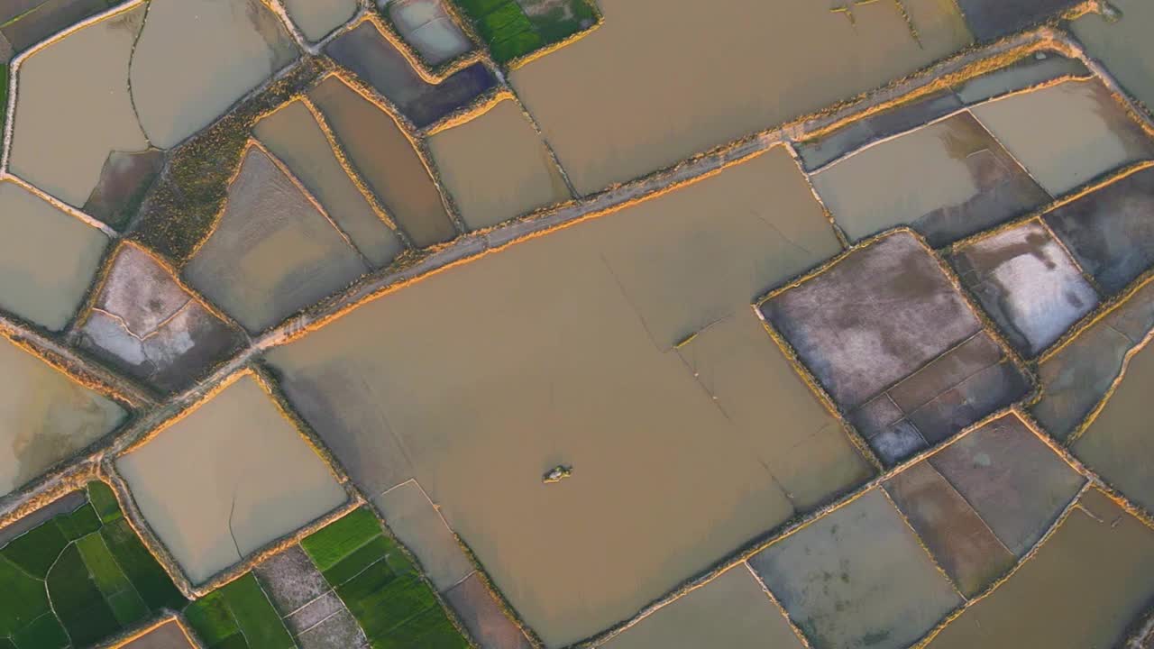 campos de arroz inundados de bangladesh, vista aérea de arriba hacia abajo